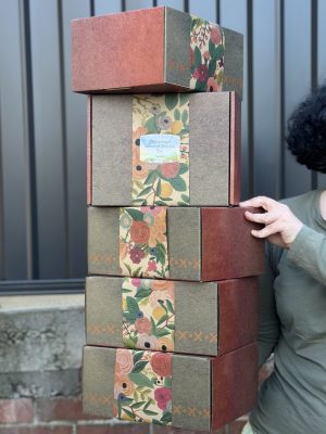Winterwoood Seasonal Creative Box - Spring Edition