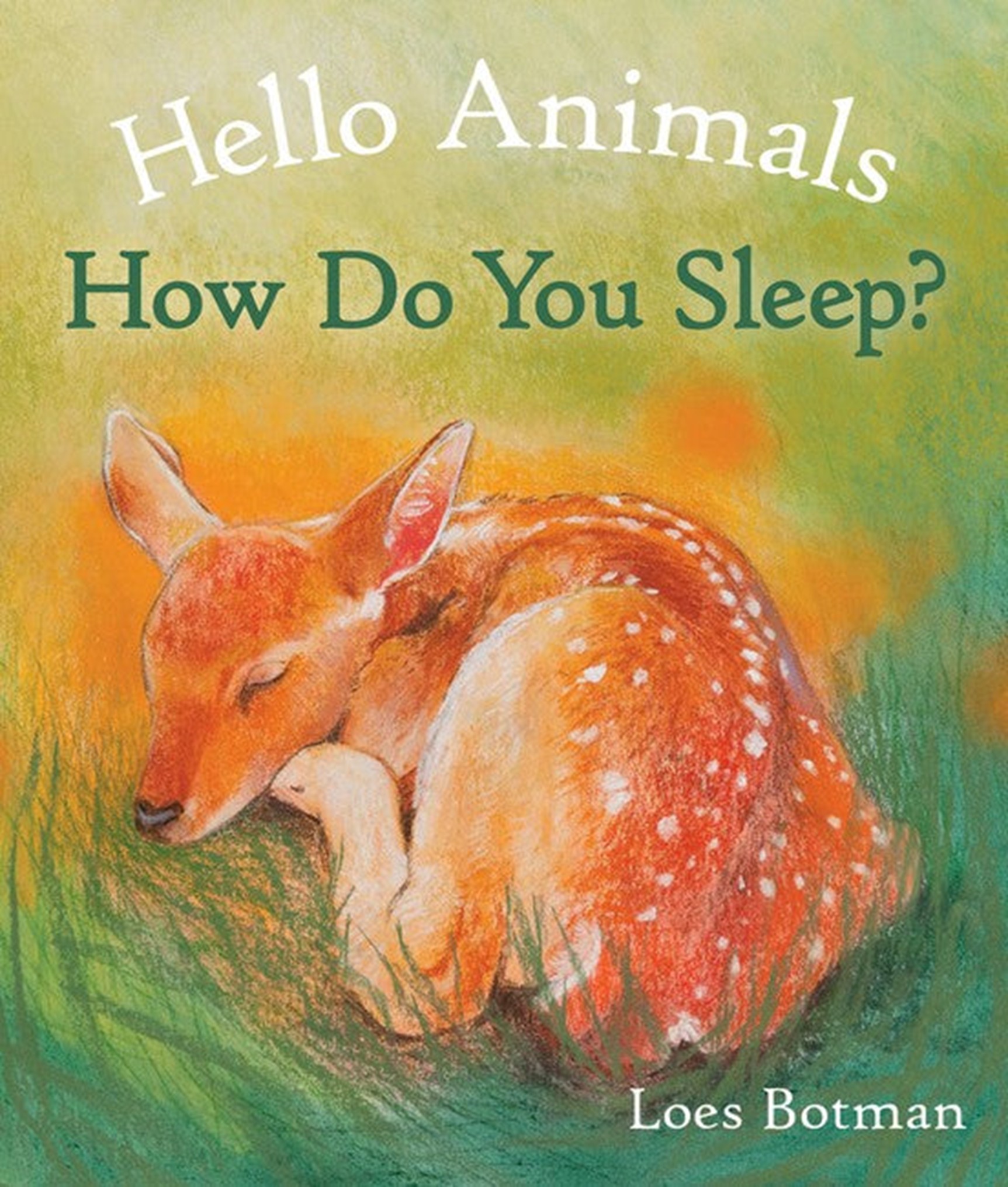 Board Books - Hello Animals Collection - Image 4