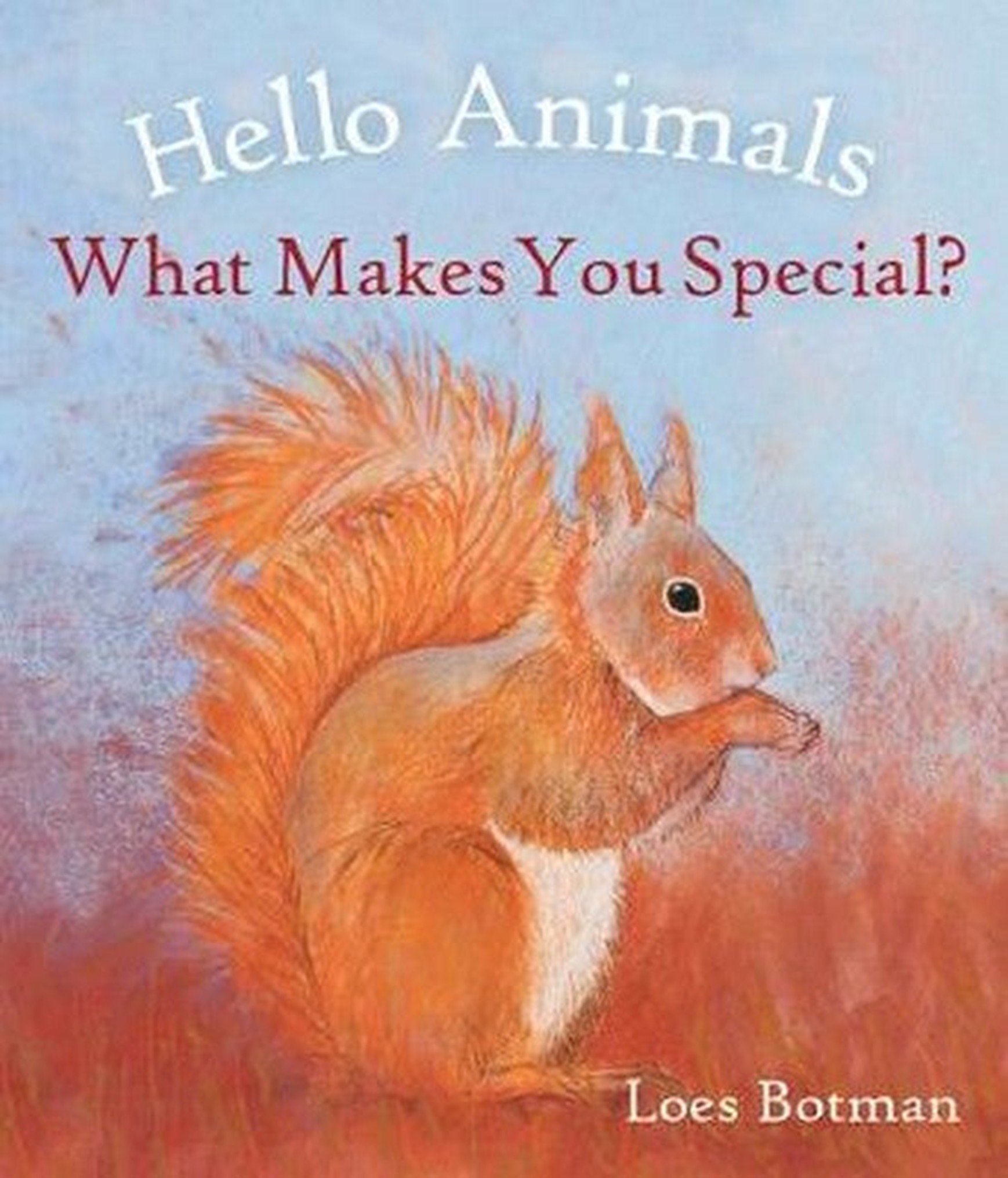Board Books - Hello Animals Collection - Image 5