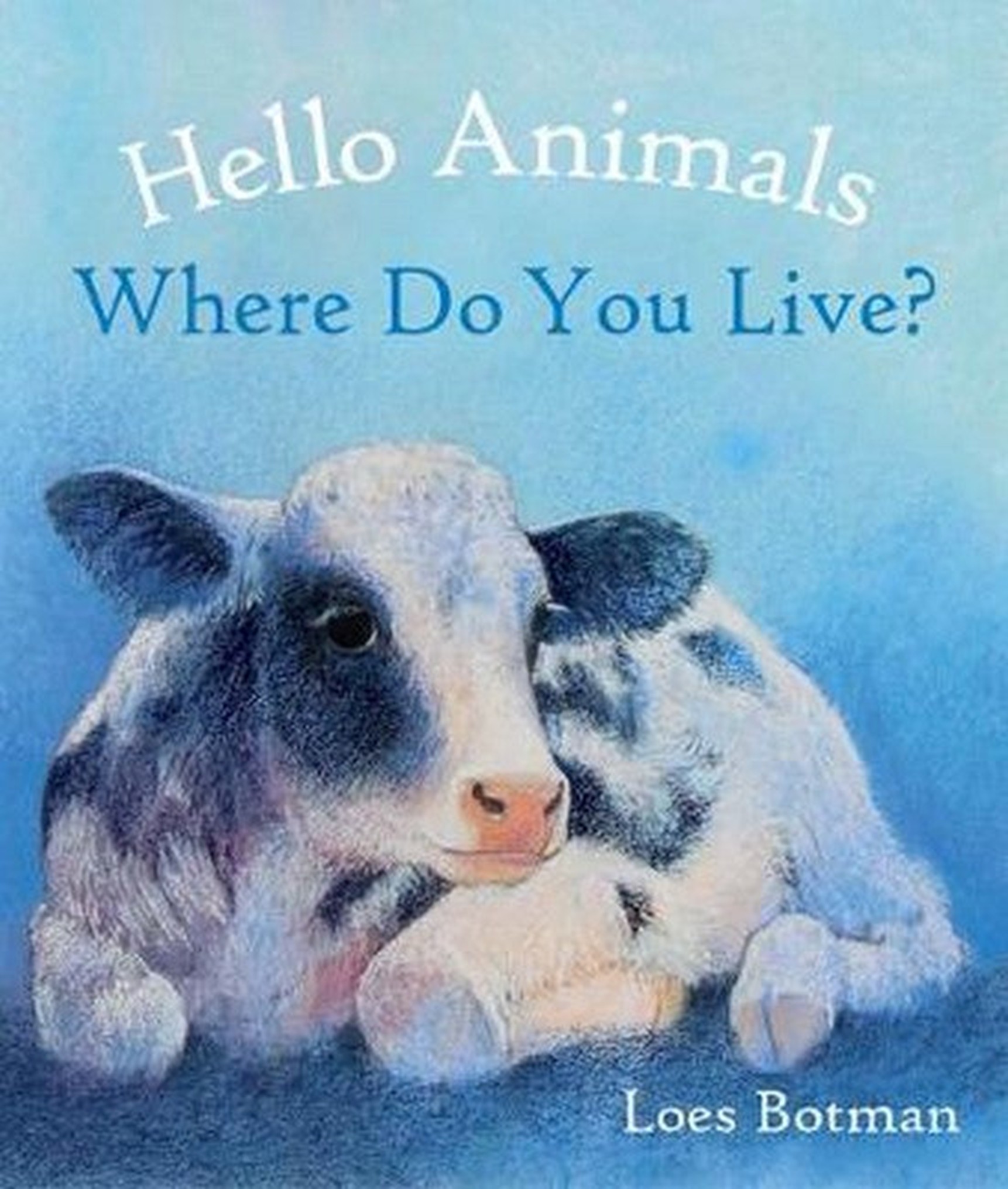 Board Books - Hello Animals Collection