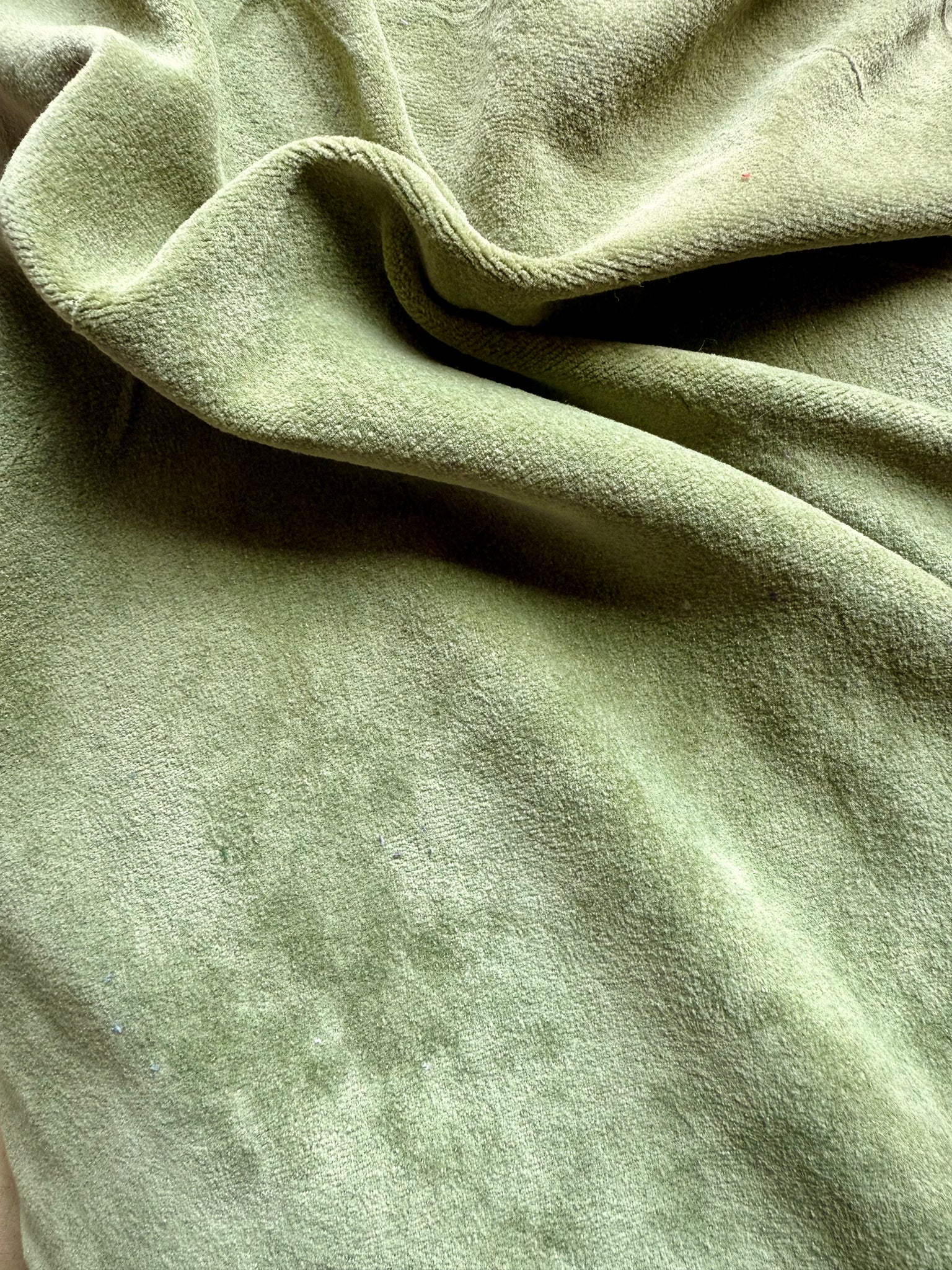 Cotton Velour Italian Olive